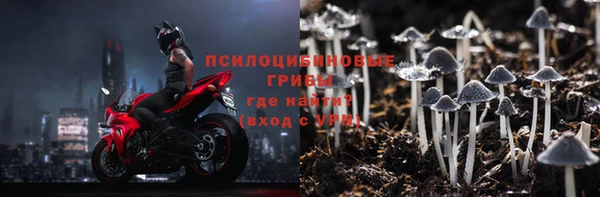 ГАЛЛЮЦИНОГЕННЫЕ ГРИБЫ Тында