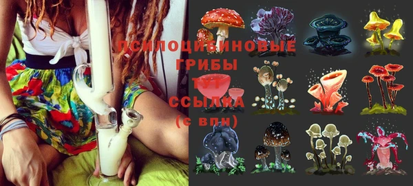 ГАЛЛЮЦИНОГЕННЫЕ ГРИБЫ Тында