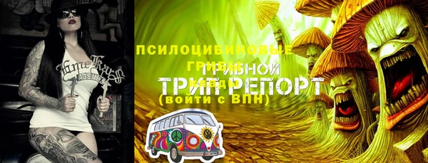 2c-b Абаза