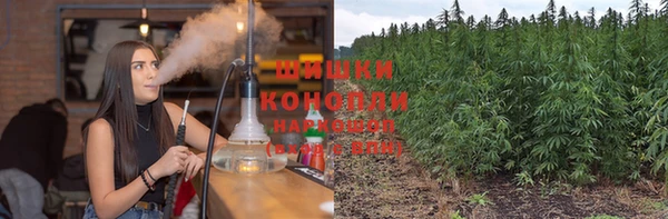 ГАЛЛЮЦИНОГЕННЫЕ ГРИБЫ Тында