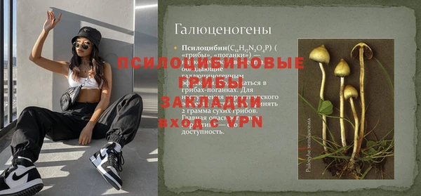 гашиш Туринск